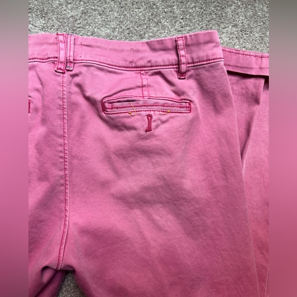 Anthropologie Pilcro and the Letterpress pants Hyphen sz. 28 mauve low-mid rise - Picture 5 of 6